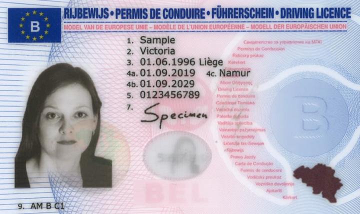 Comprar carta de condução Bélgica
